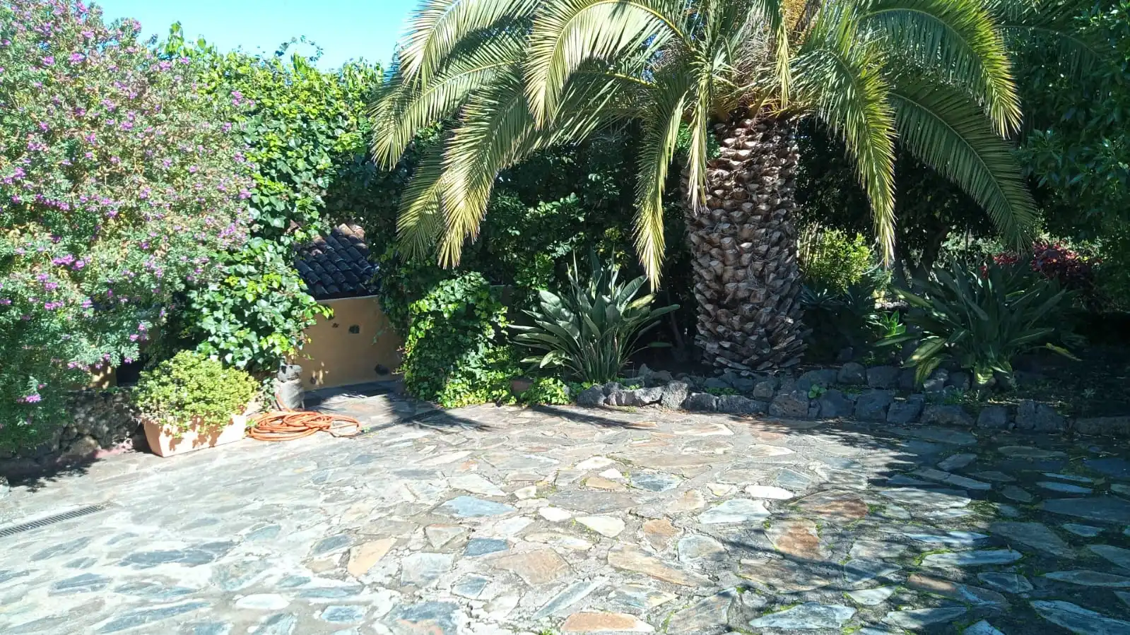Jardí de Finca rústica en venda en Icod de los Vinos amb Jardí privat, Terrassa i Piscina