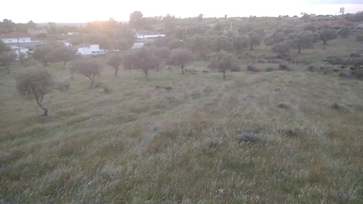Finca rústica en venta en Oeste