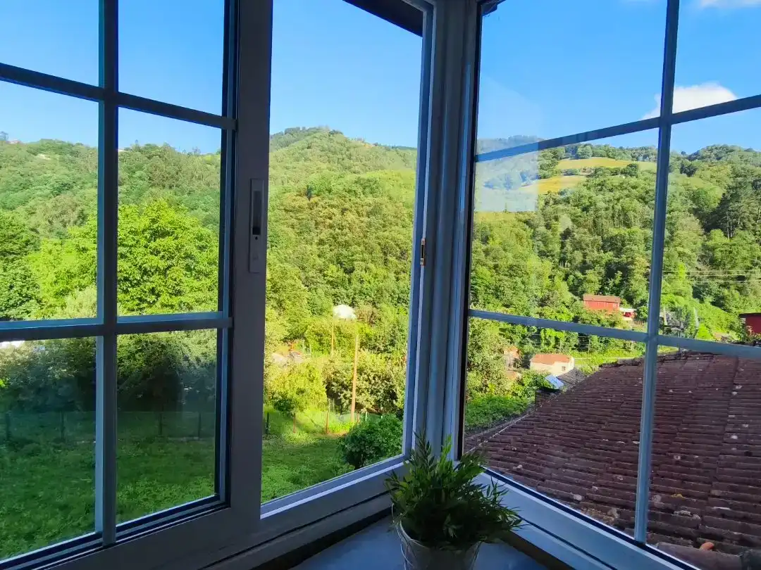 Jardí de Casa adosada en venda en Langreo amb Jardí privat, Traster i Moblat