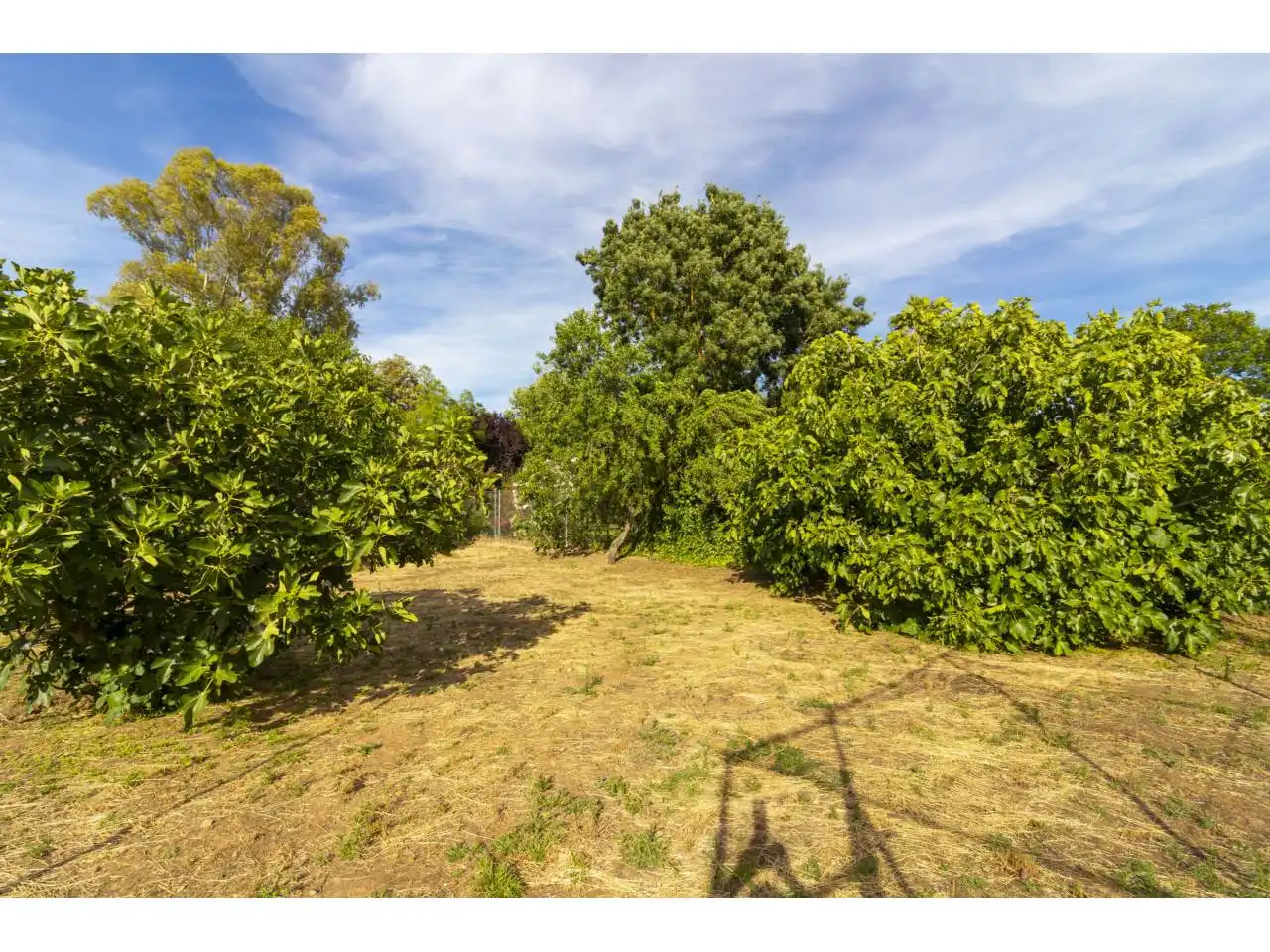 Terreno en venta en Badajoz