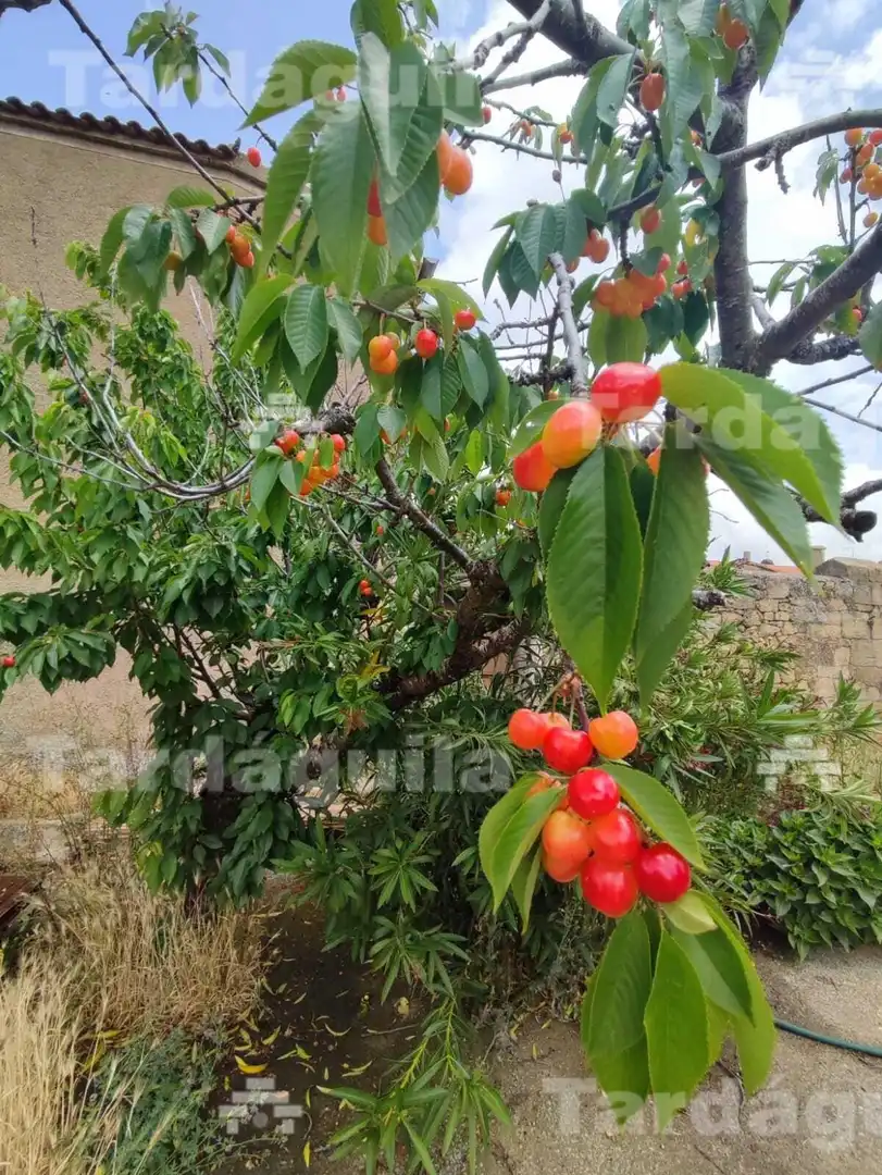 Garten von Country house zum Verkauf in San Muñoz mit Heizung