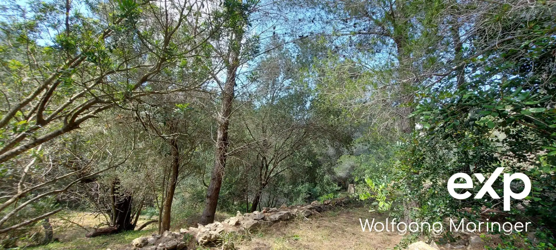 Residential land for sale in Betlems 51, imagen 14