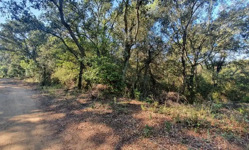 Grundstücke zum Verkauf in Sant Celoni