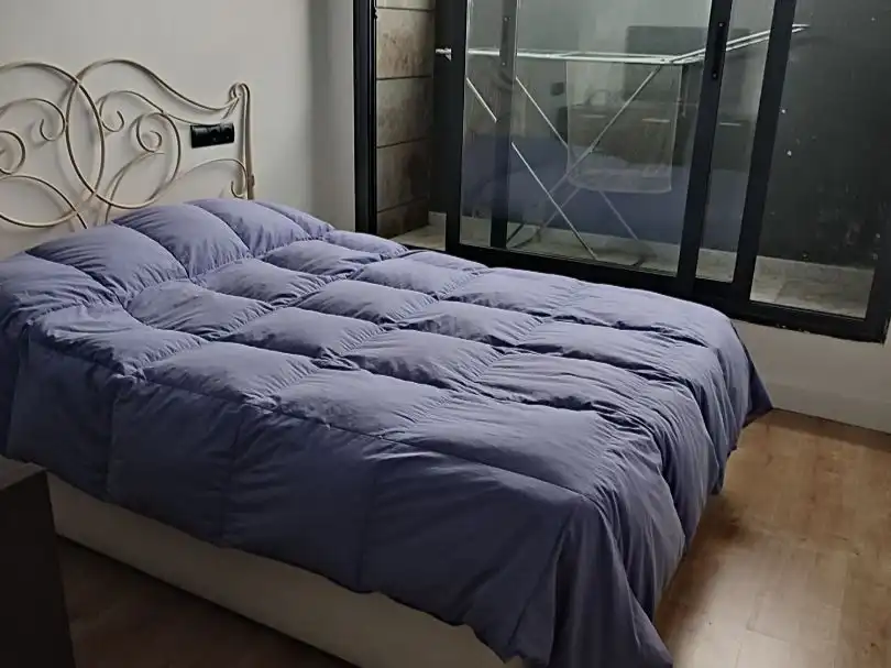 Dormitori de Dúplex de lloguer en Centre