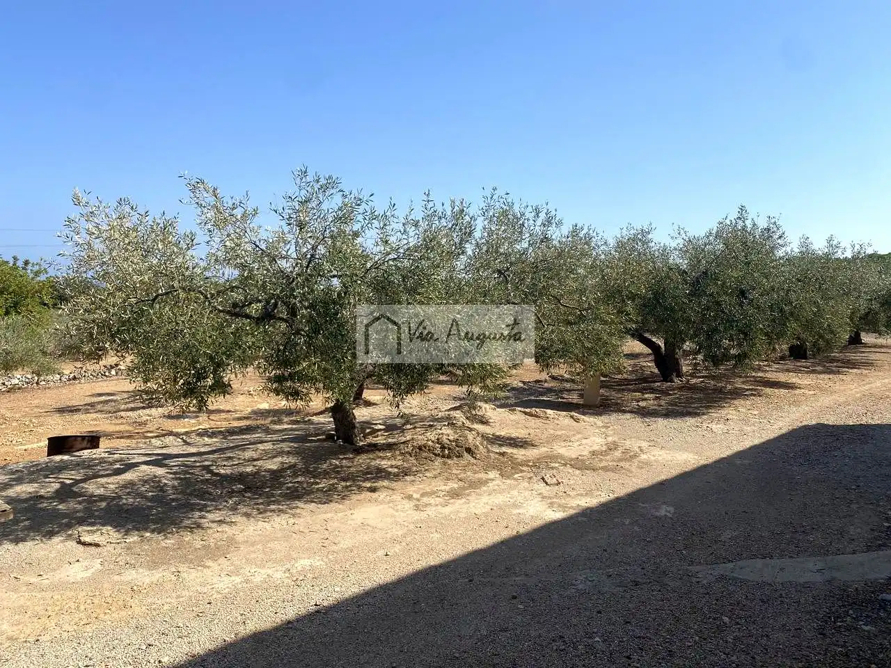 Finca rústica en venda a Carratillana, L'Ametlla de Mar pueblo
