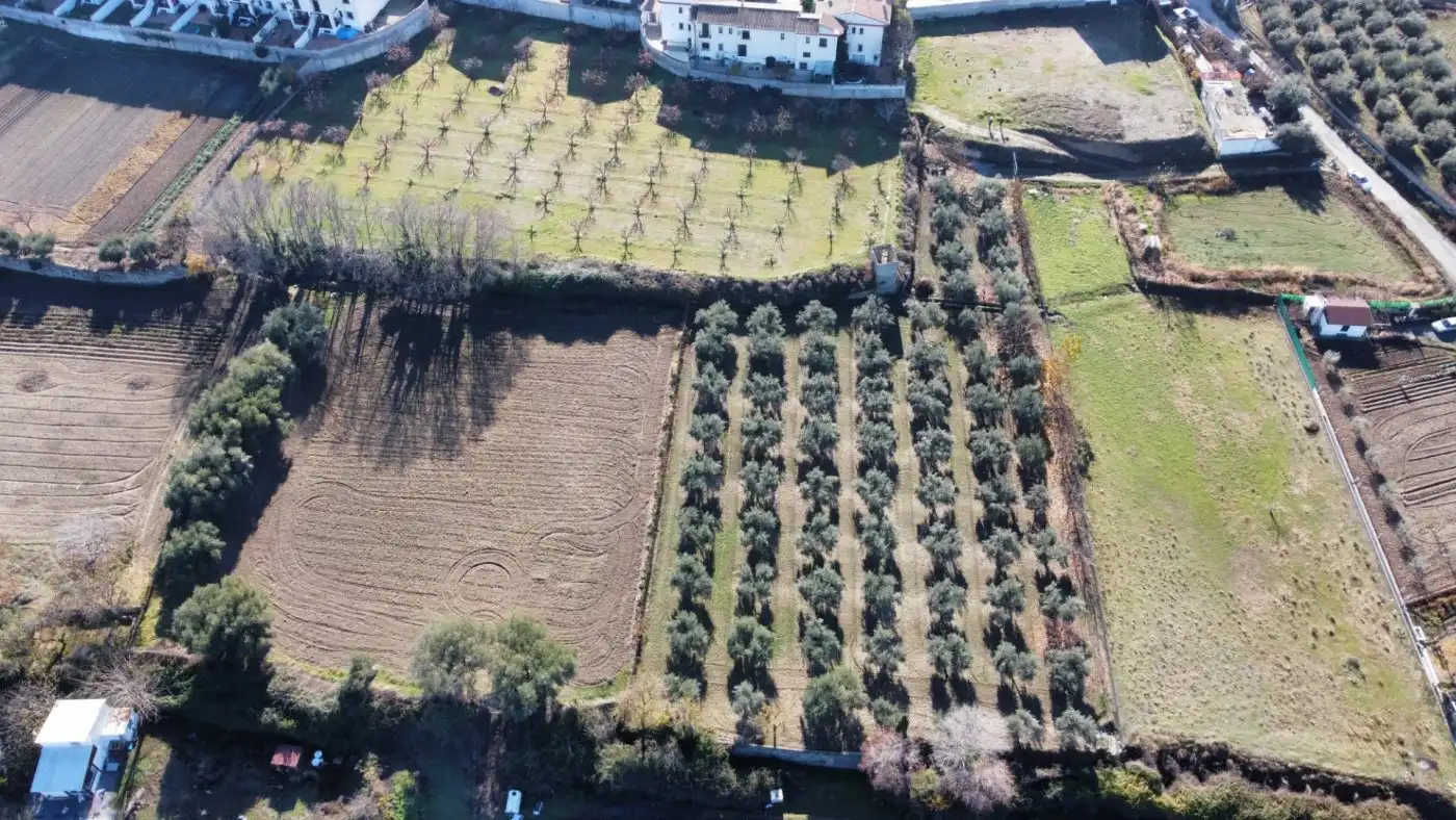 Casa rustica in vendita a La Zubia Ciudad