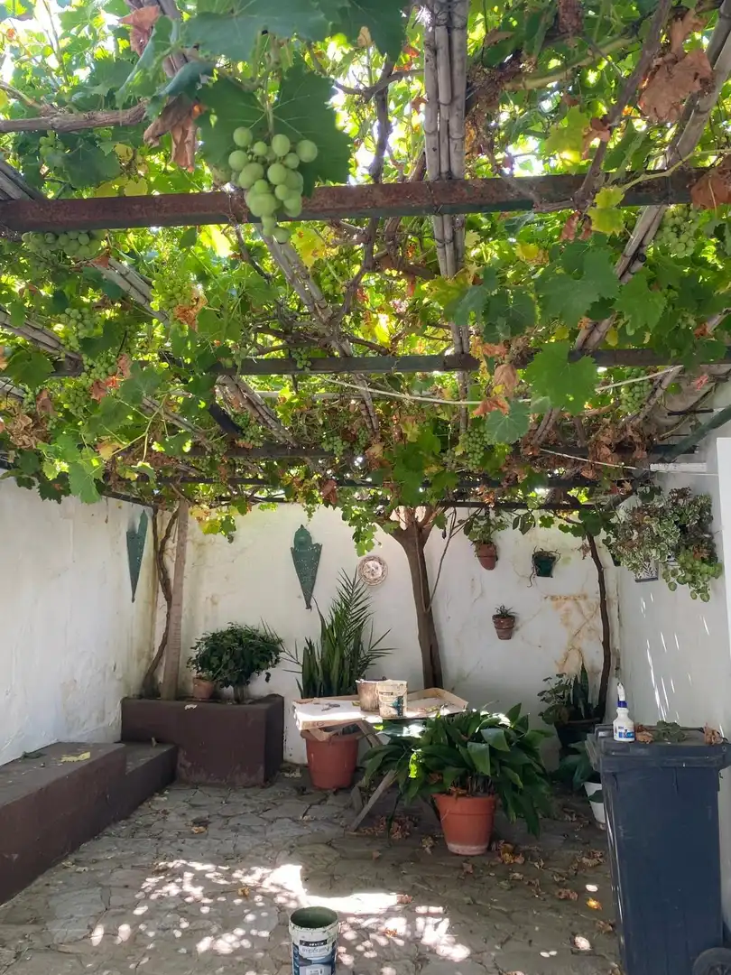 Casa rústica en venda a Tarifa ciudad, imagen 25
