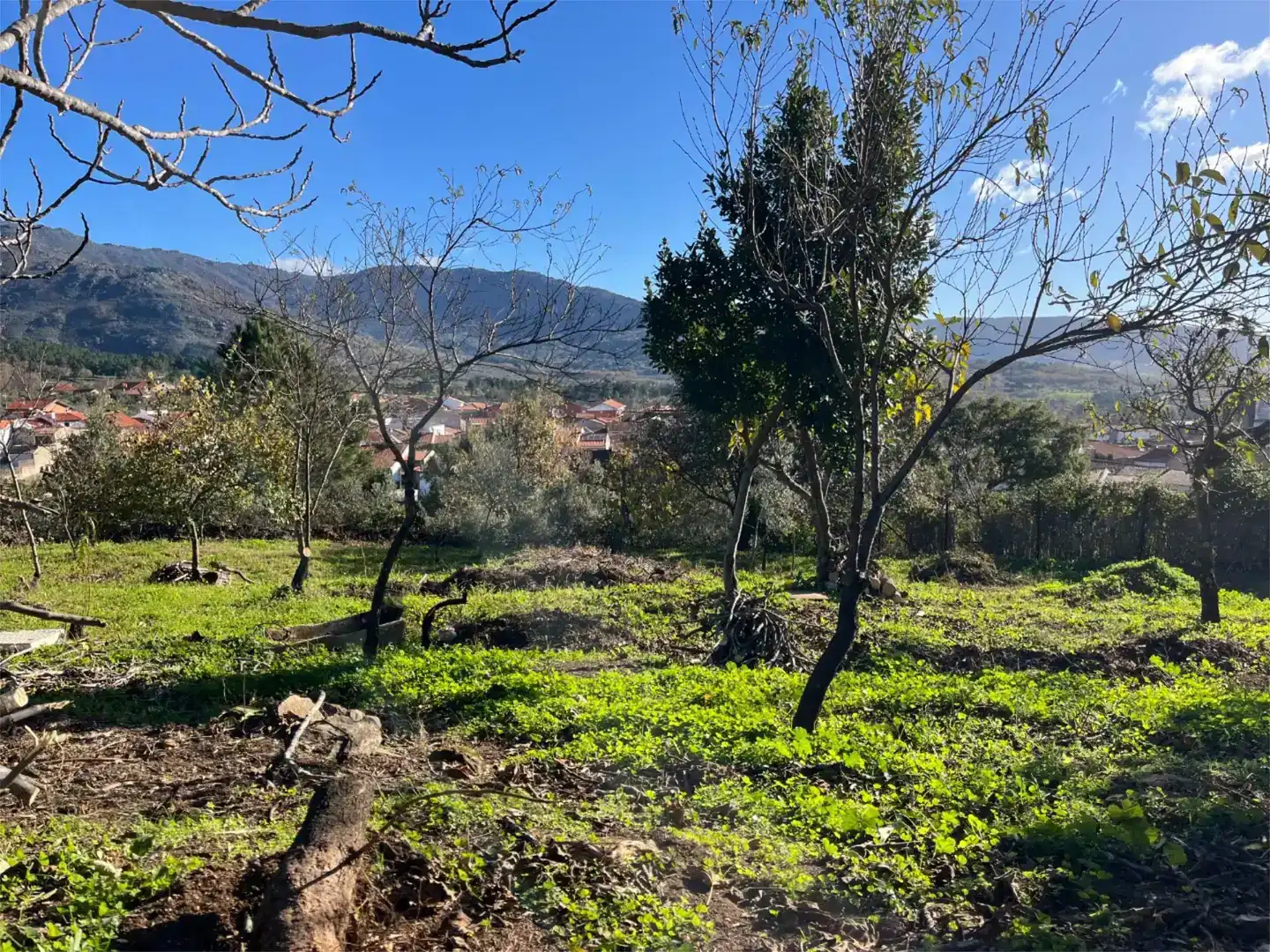 Terreno en venta en Valverde del Fresno