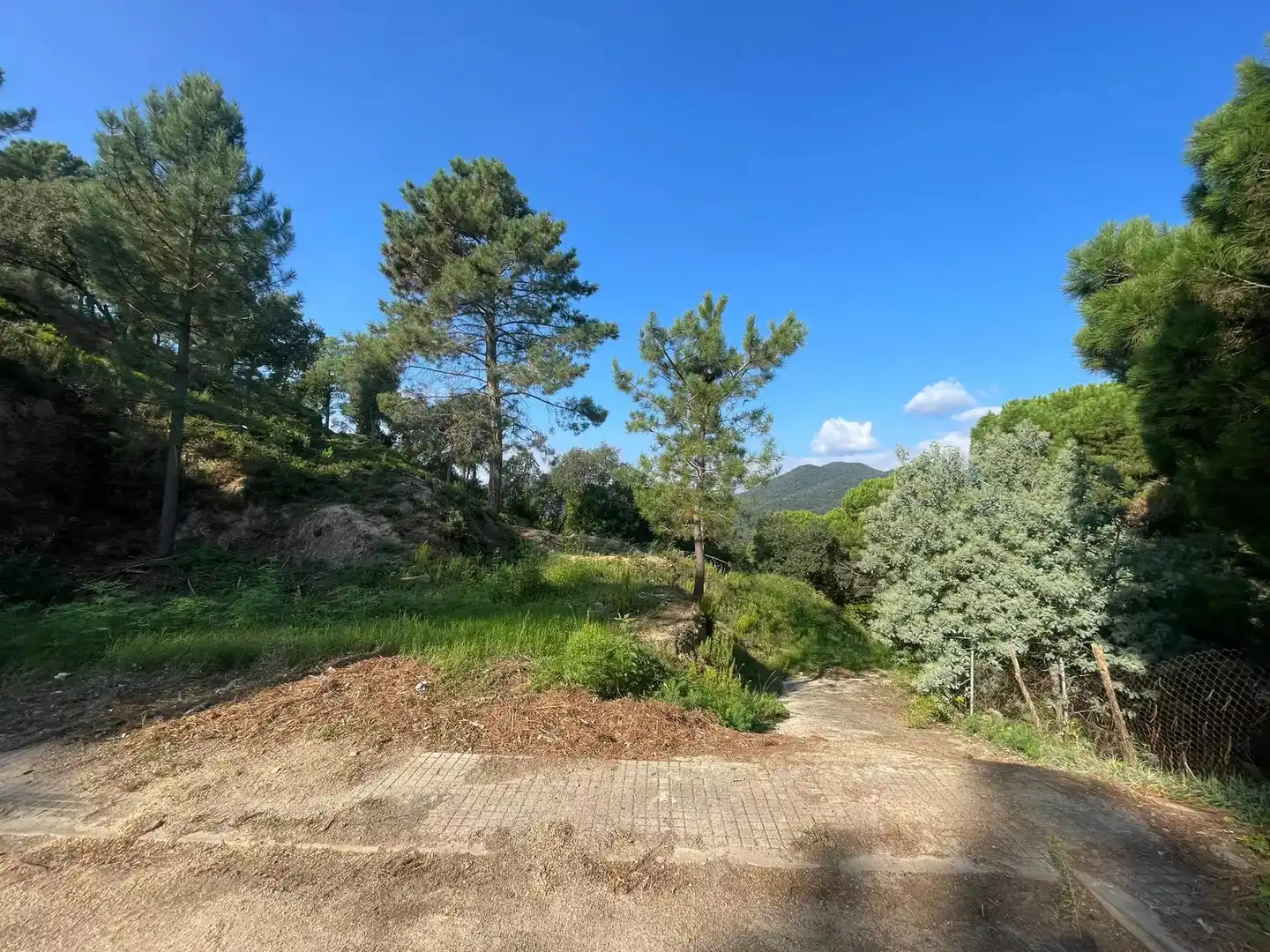 Terreno residencial en venta en Artana, imagen 5