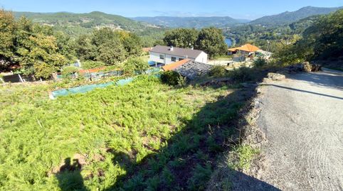 Foto 4 de Finca rústica en venta en O Pereiro de Aguiar , Ourense