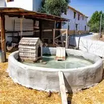 Piscina de Finca rústica en venda en Baza