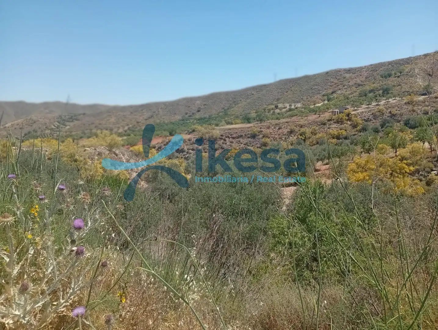 Lands and plots for sale in Cantoria, imagen 3