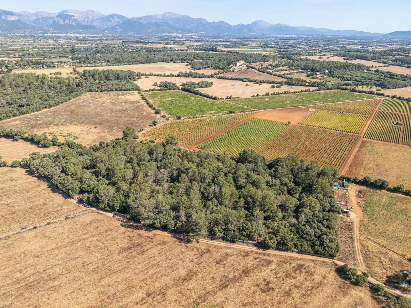 Rustikales Grundstück zum Verkauf in Sencelles, imagen 10