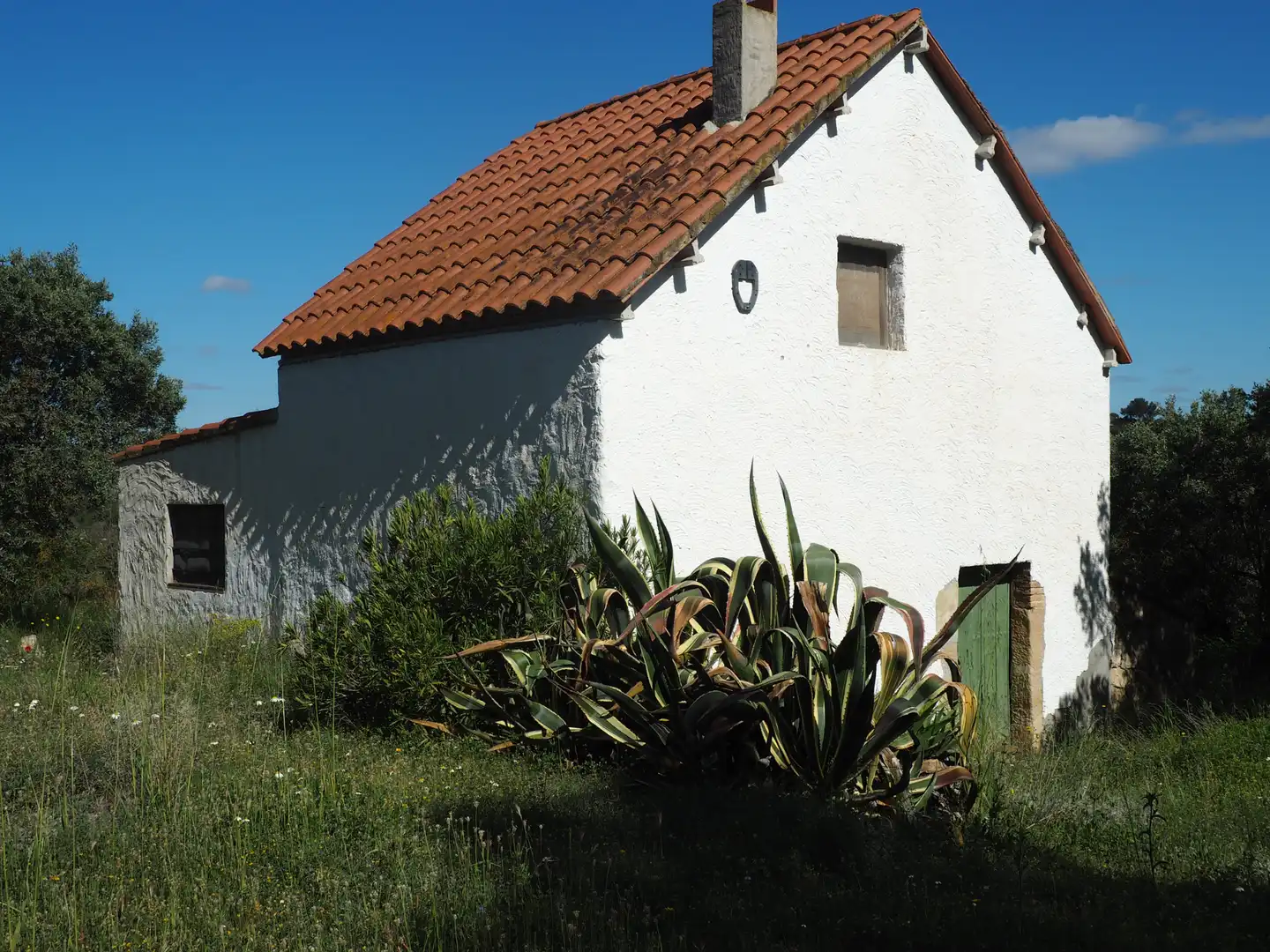 Terrain rustique à vendre à Avinguda Colònia 5