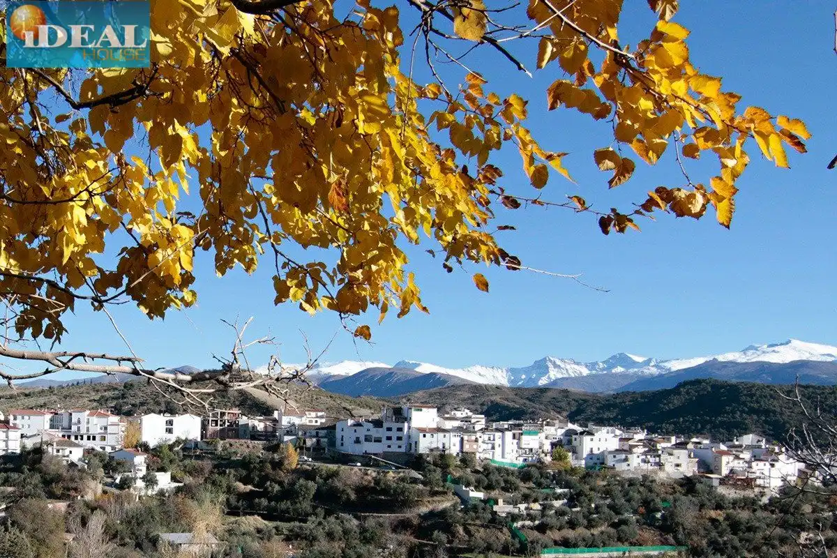 Casa rústica amb terrassa en venda a Calle LAS PIEDRAS, imagen 5