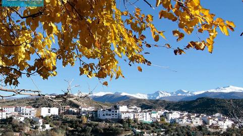 Foto 5 de Finca rústica en venda a Calle las Piedras, Huétor de Santillán, Granada