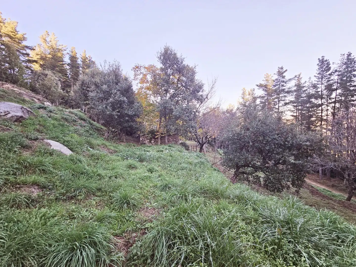 Casa rústica amb jardí en venda a Riells i Viabrea, imagen 44
