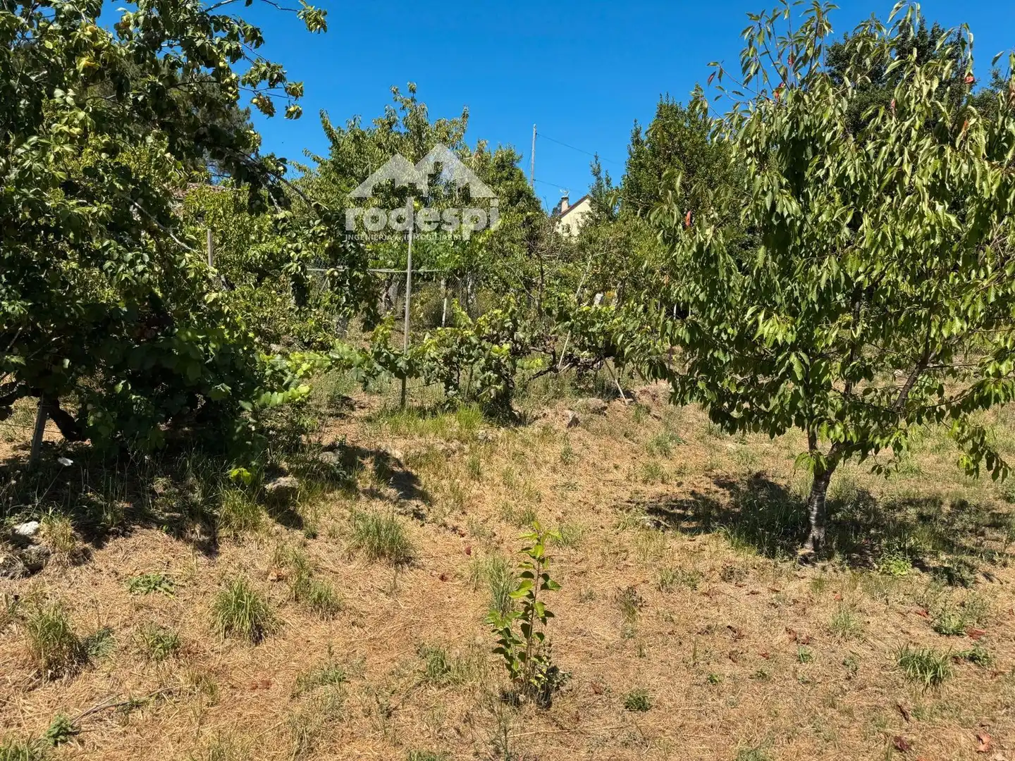 Maison à vendre à Crecente, imagen 18