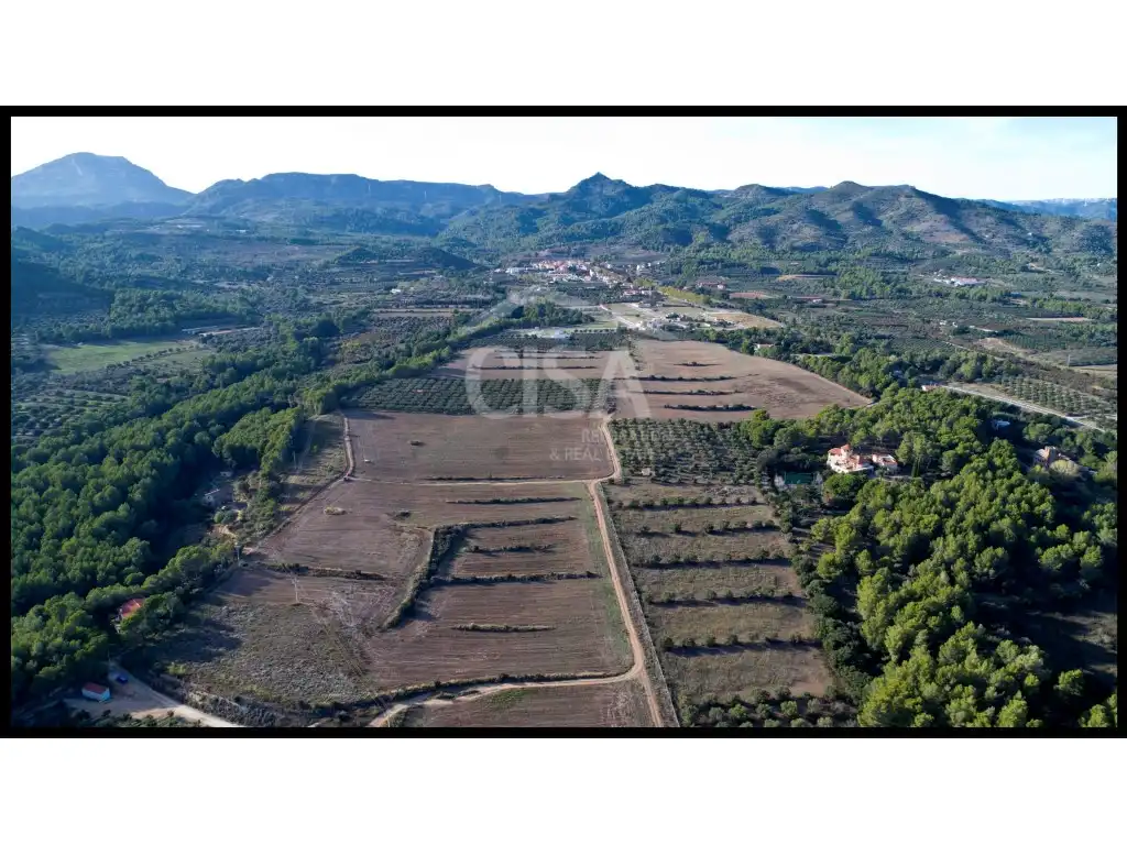 Terreno residenziale in vendita a Calle Mont-Roig Del Camp, imagen 3