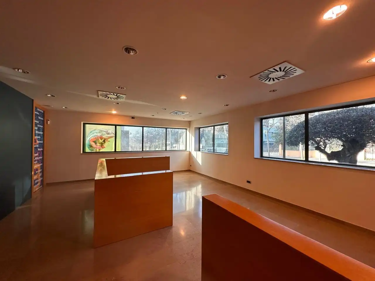 Local comercial de lloguer a JOSEP UMBERT I VENTURA, imagen 9