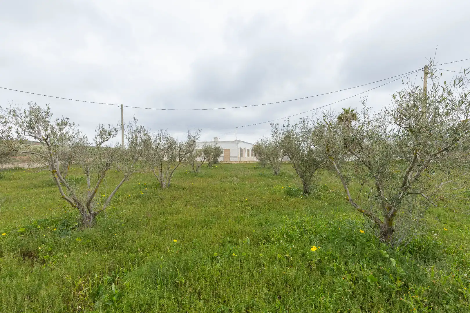 Casa o chalet en venta en Níjar con Terraza y Amueblado
