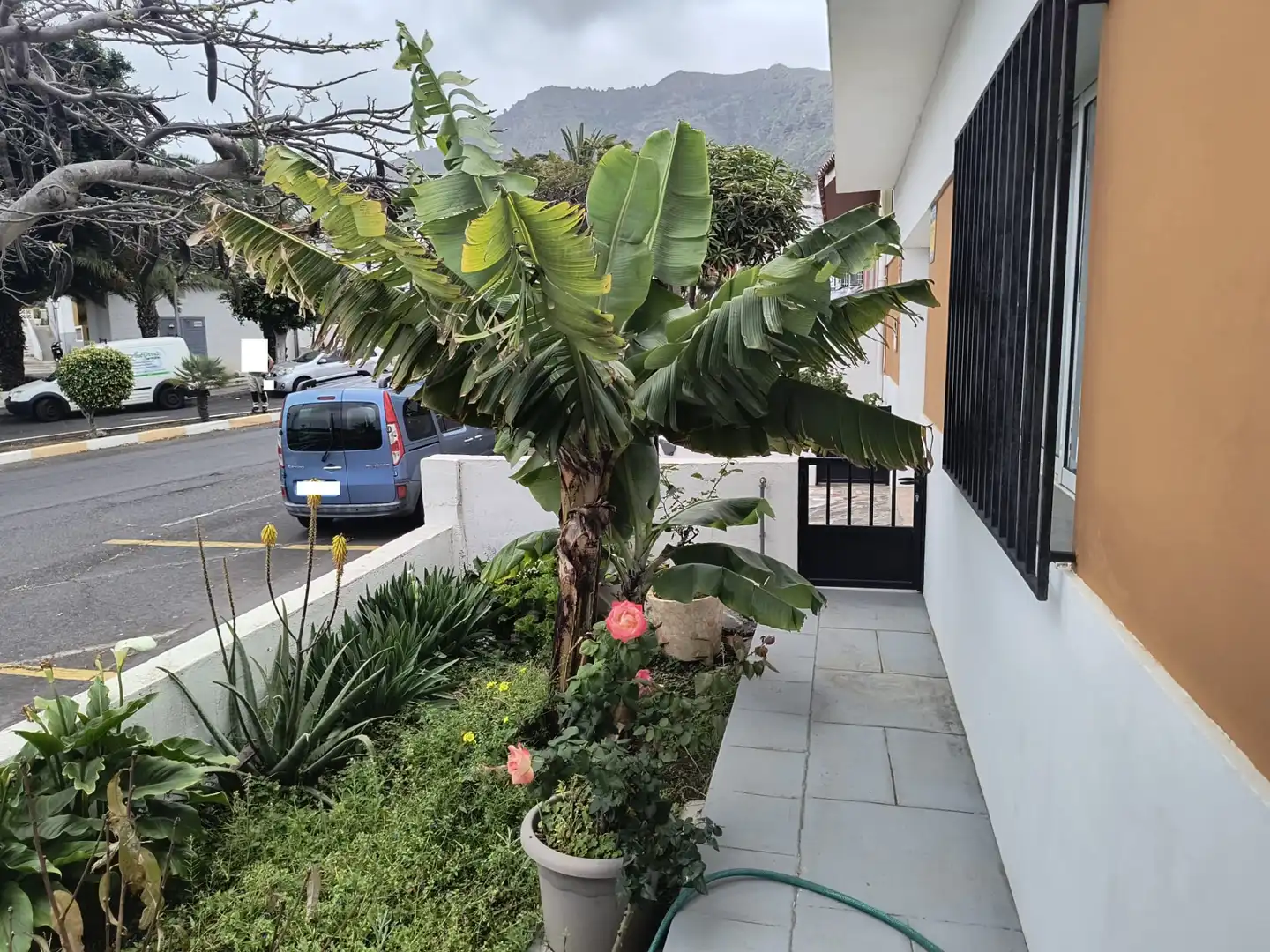 Vista exterior de Casa o xalet en venda en Buenavista del Norte amb Jardí privat, Terrassa i Forn