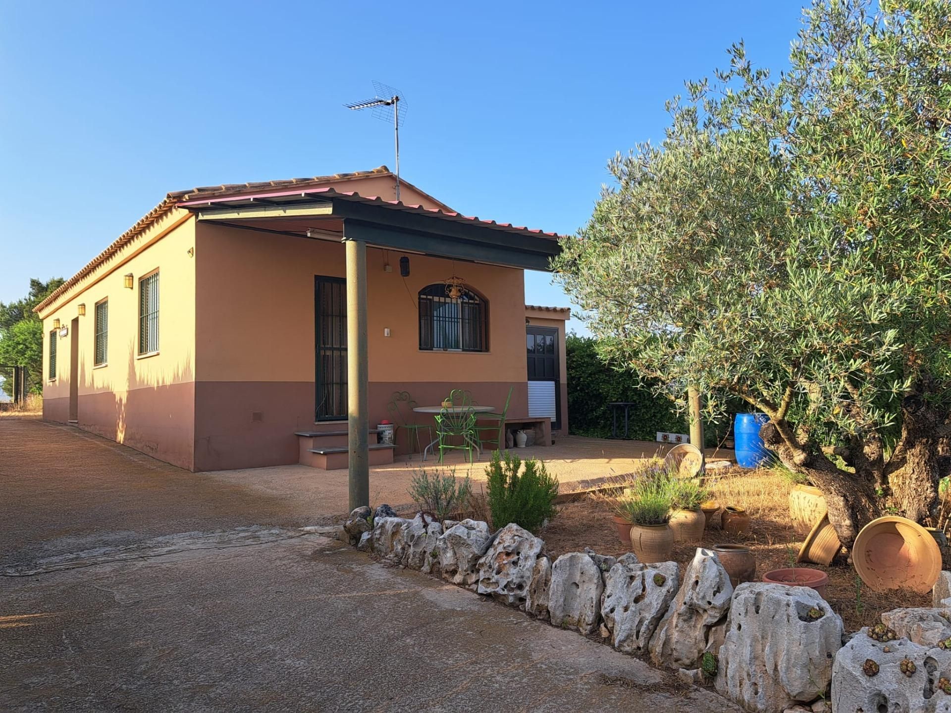 Vista exterior de Casa o xalet en venda en Requena