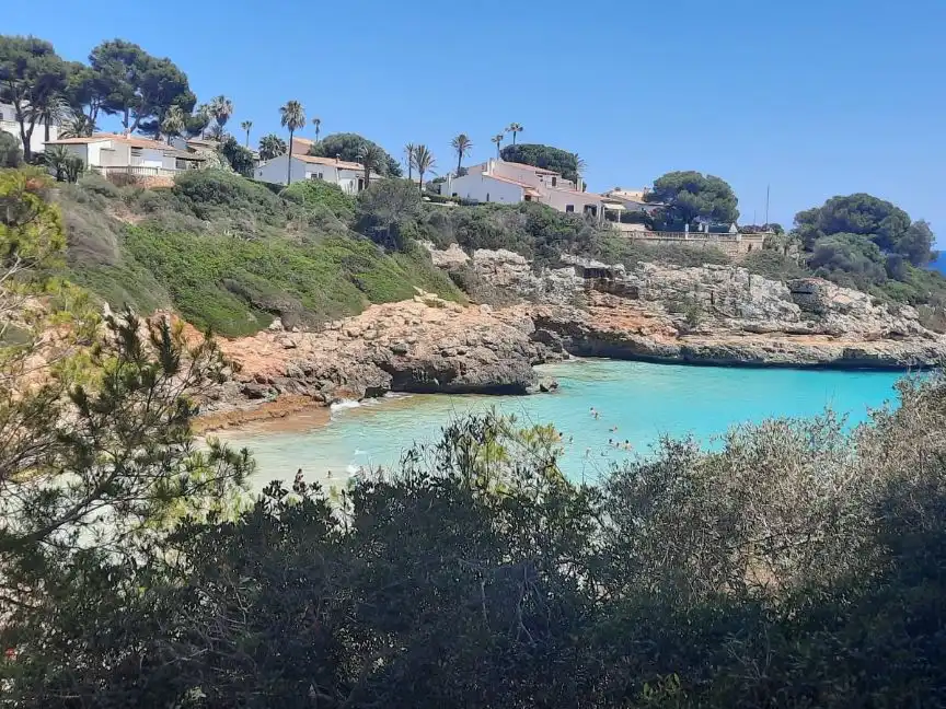 Estudi amb piscina en venda a Sa Mola 160, imagen 2
