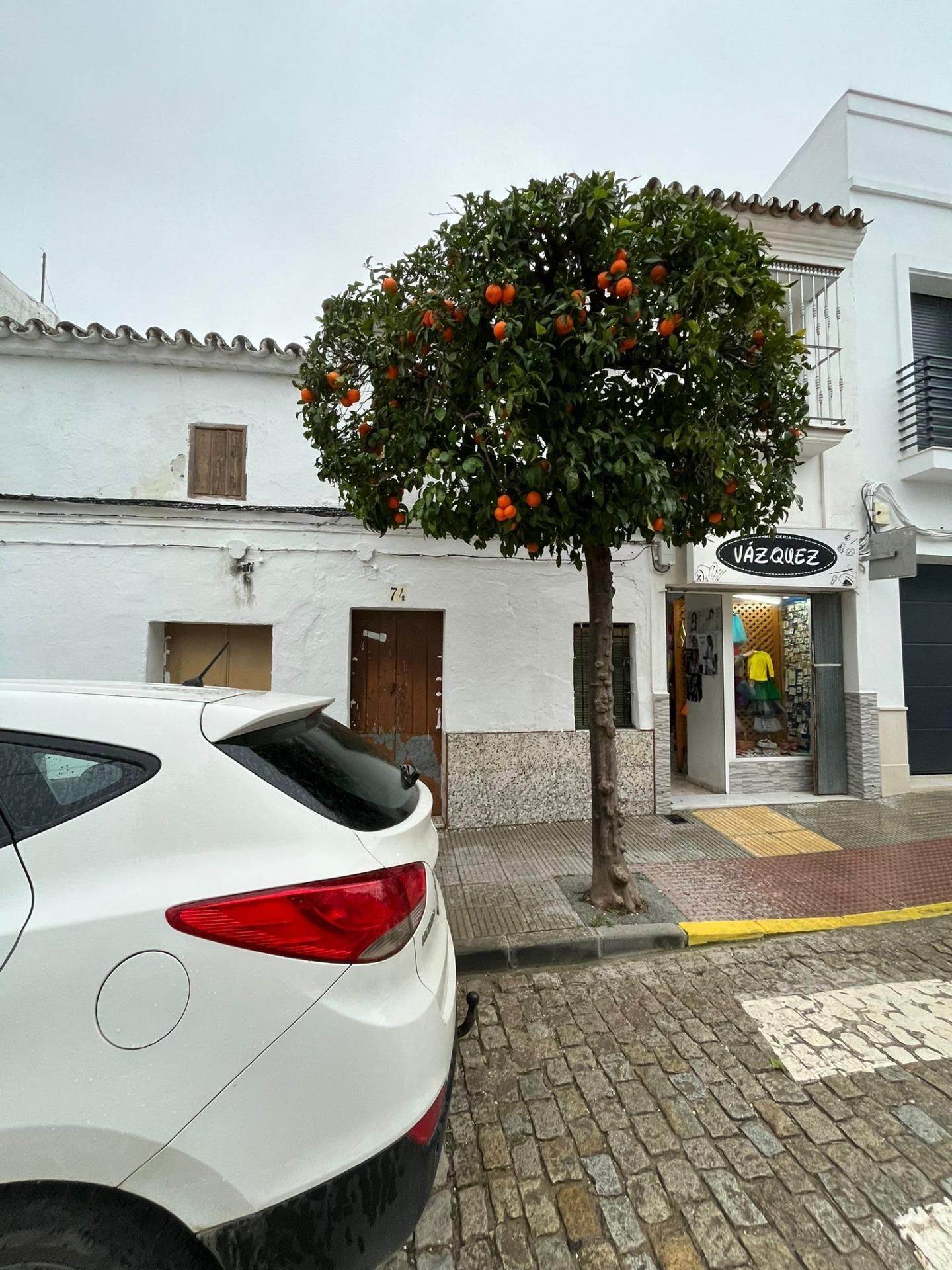 House or chalet for sale in La Puebla de Cazalla