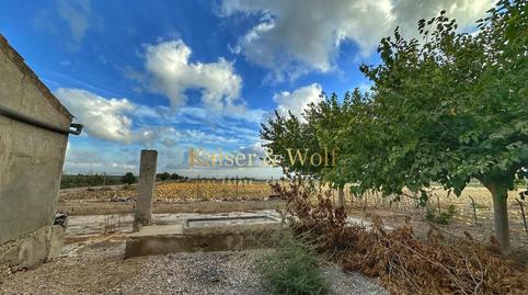 Foto 3 de Finca rústica en venta en Partida Marina, La Marina, Alicante