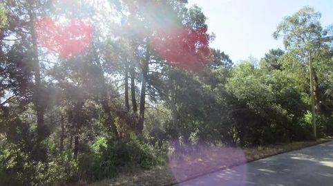 Foto 2 de Casa o chalet en venta en El Molí - El Rieral, Lloret de Mar