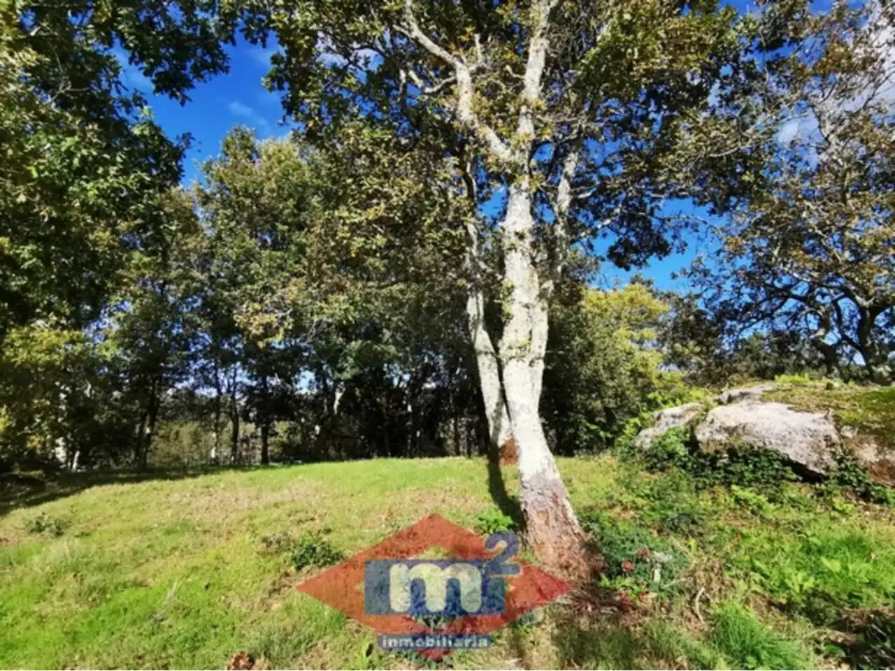 Lands and plots for sale in Salceda de Caselas, imagen 8