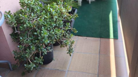 Foto 4 de Dúplex en venta en Vilanova del Camí, Barcelona