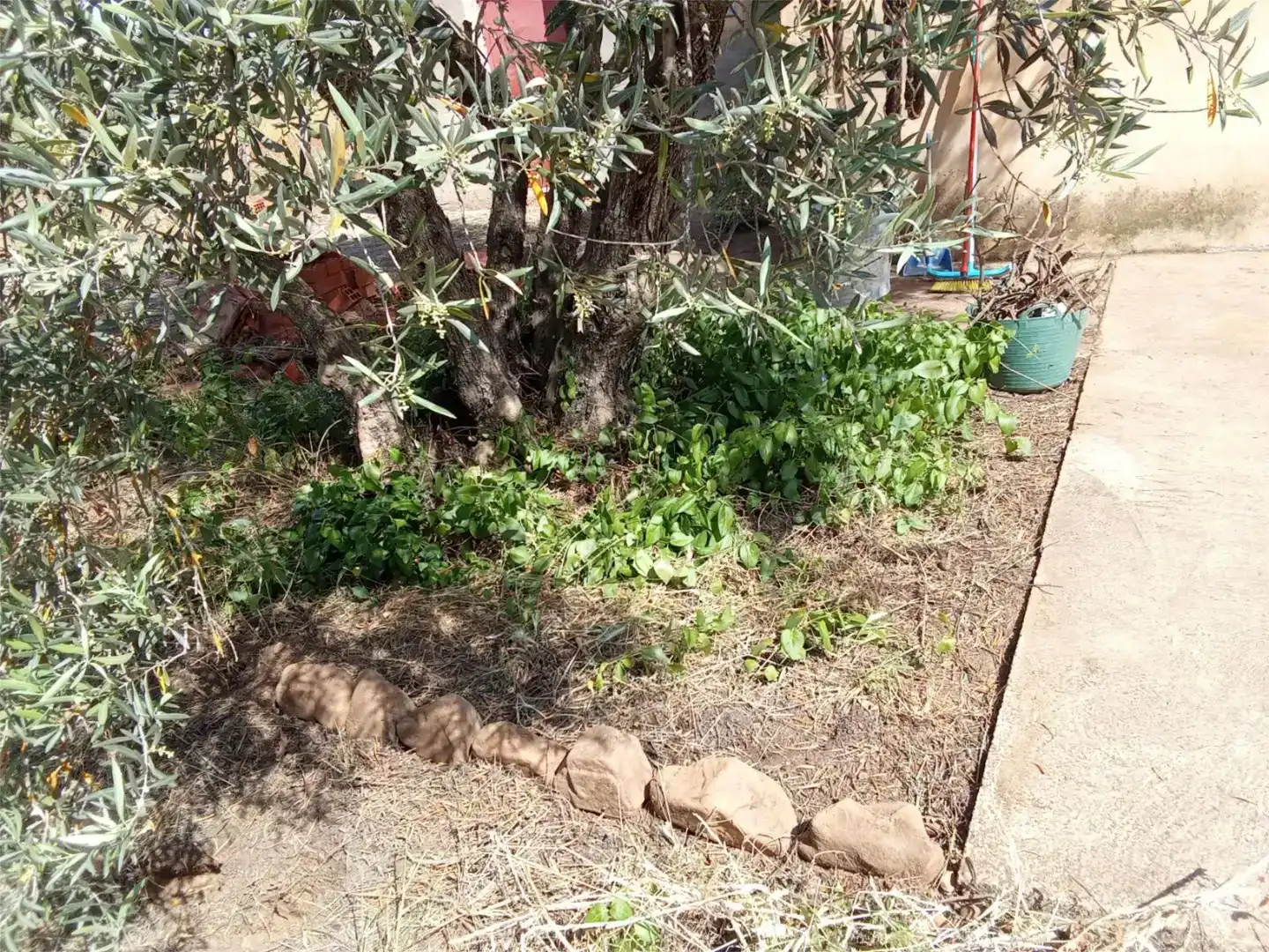 Pis en venda en Piedrabuena amb Jardí privat, Traster i Moblat