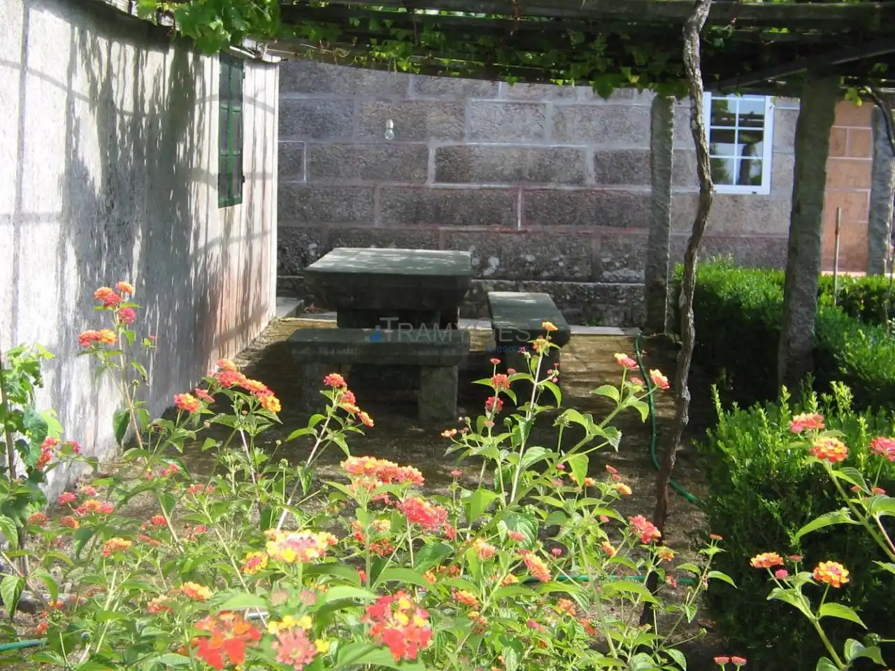 Jardín de Casa o chalet en venta en Vigo  con Jardín privado