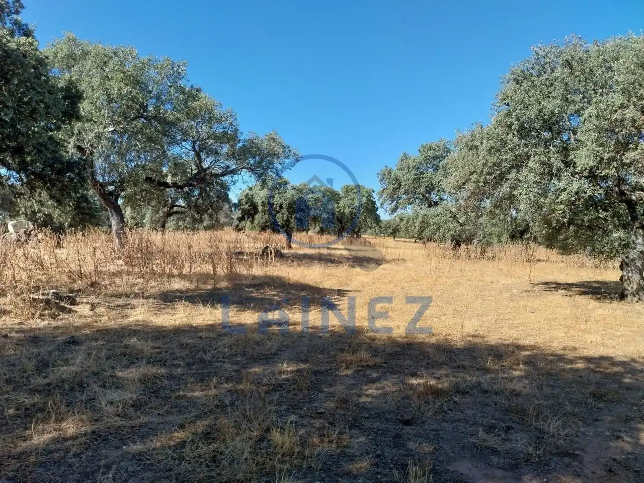 Lands and plots for sale in Fuente Obejuna, imagen 25