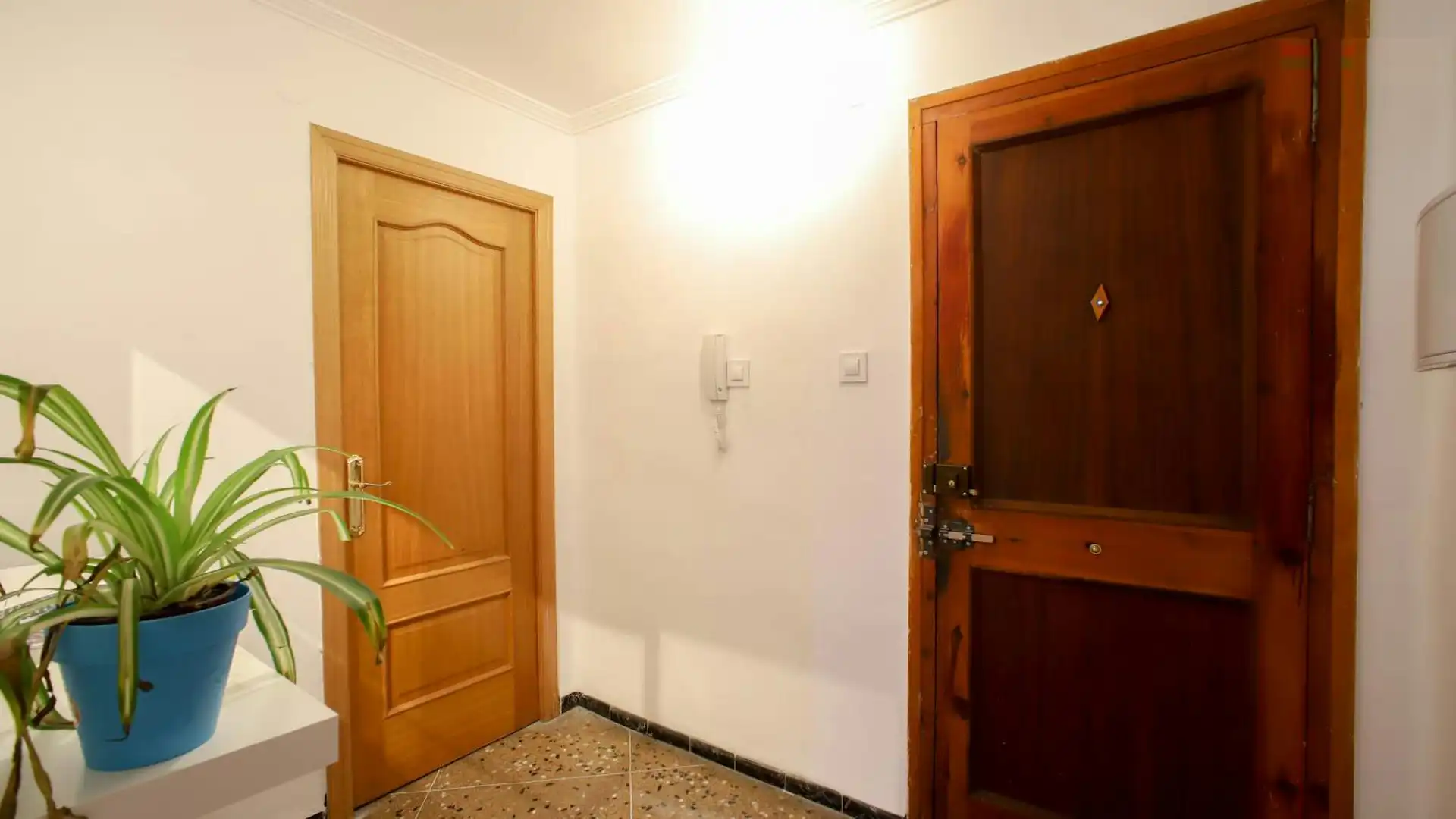 Flat for share in Valencia  with Washing machine and Pets allowed