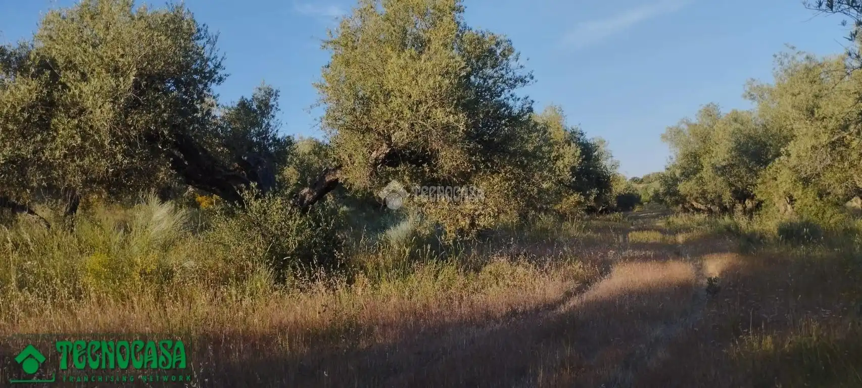 Terreni e lotti in vendita a Méntrida, imagen 14