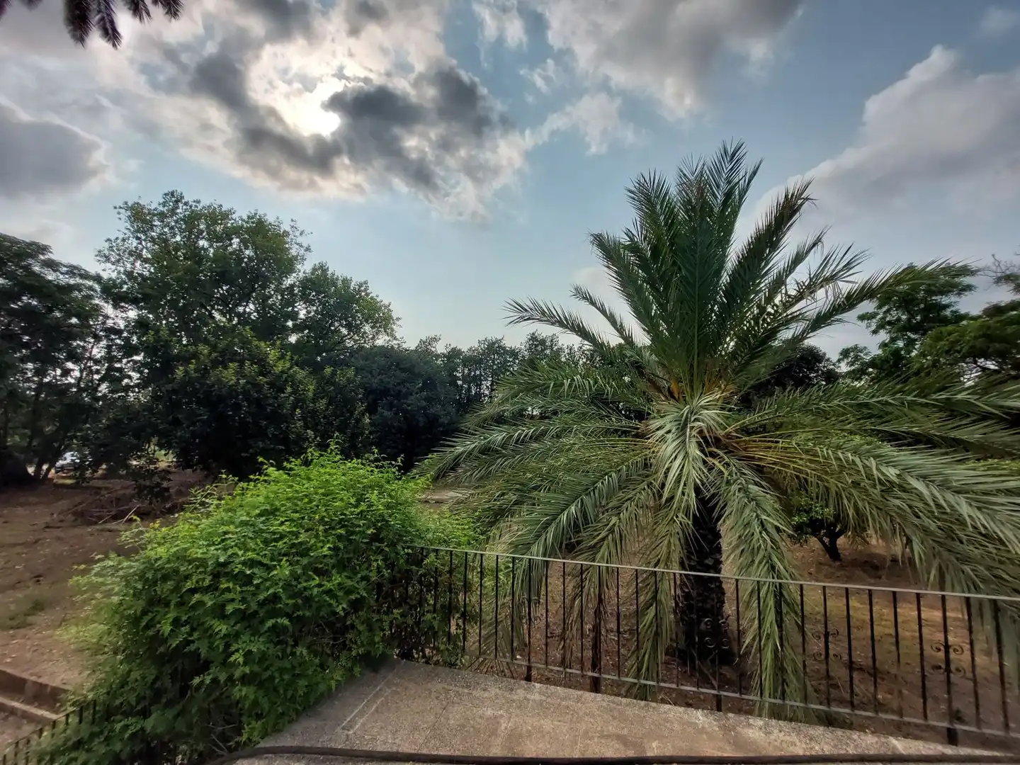 Garden of Country homes for sale in Ondara  with Private garden, Terrace and Swimming Pool