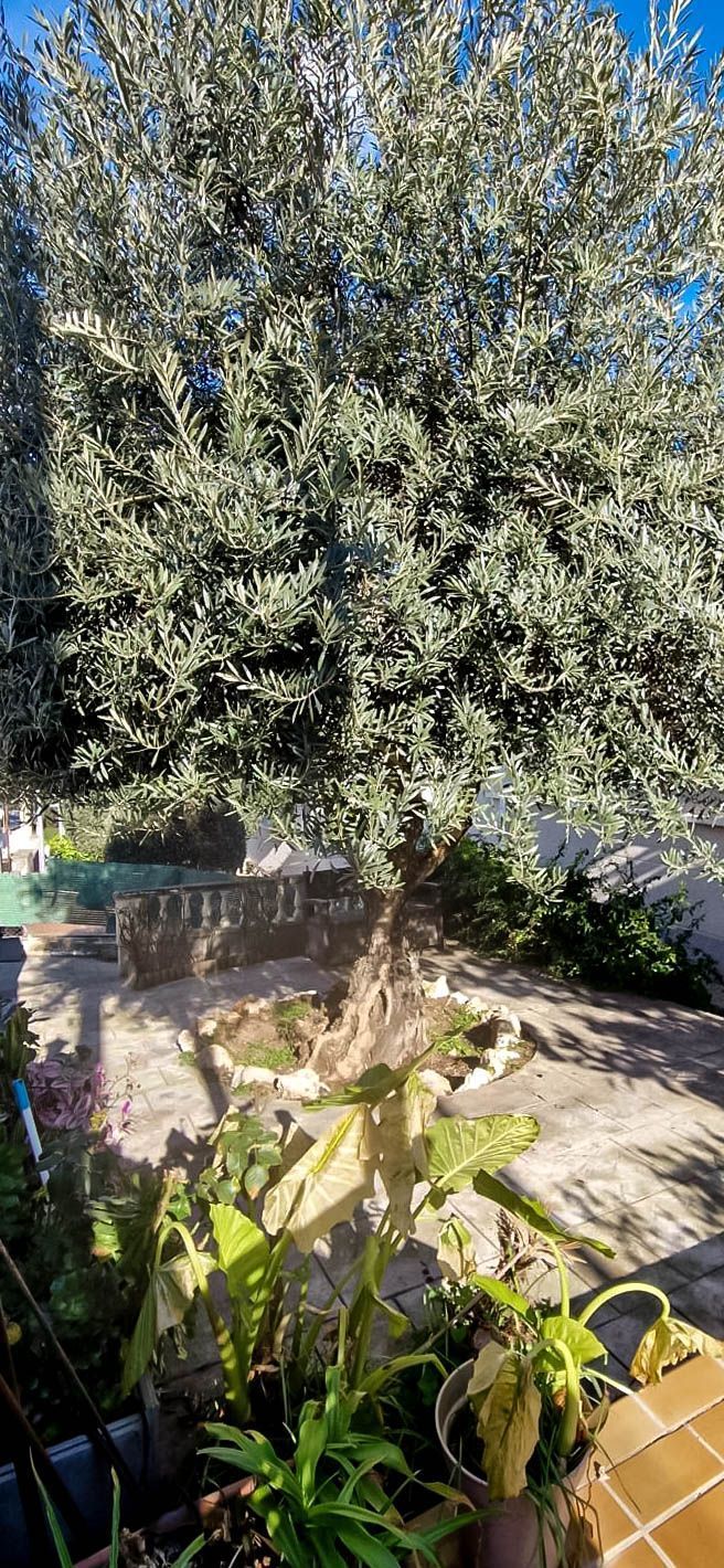 Garden of Premises for sale in Lliçà d'Amunt