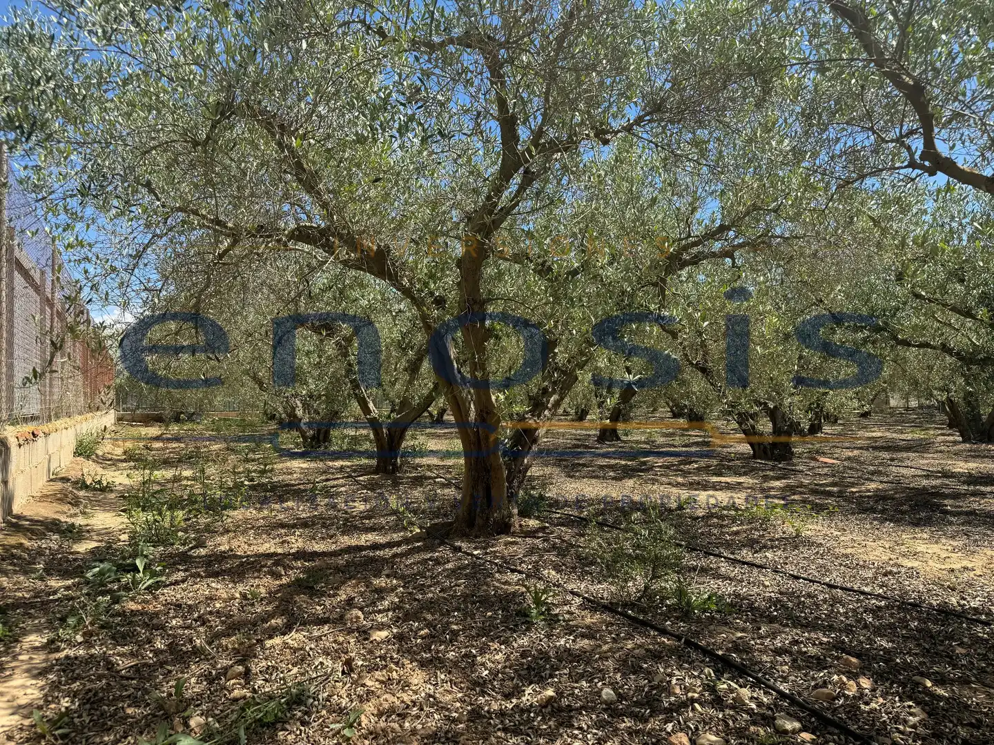 Finca rústica en venda en Torre-Pacheco amb Aire condicionat