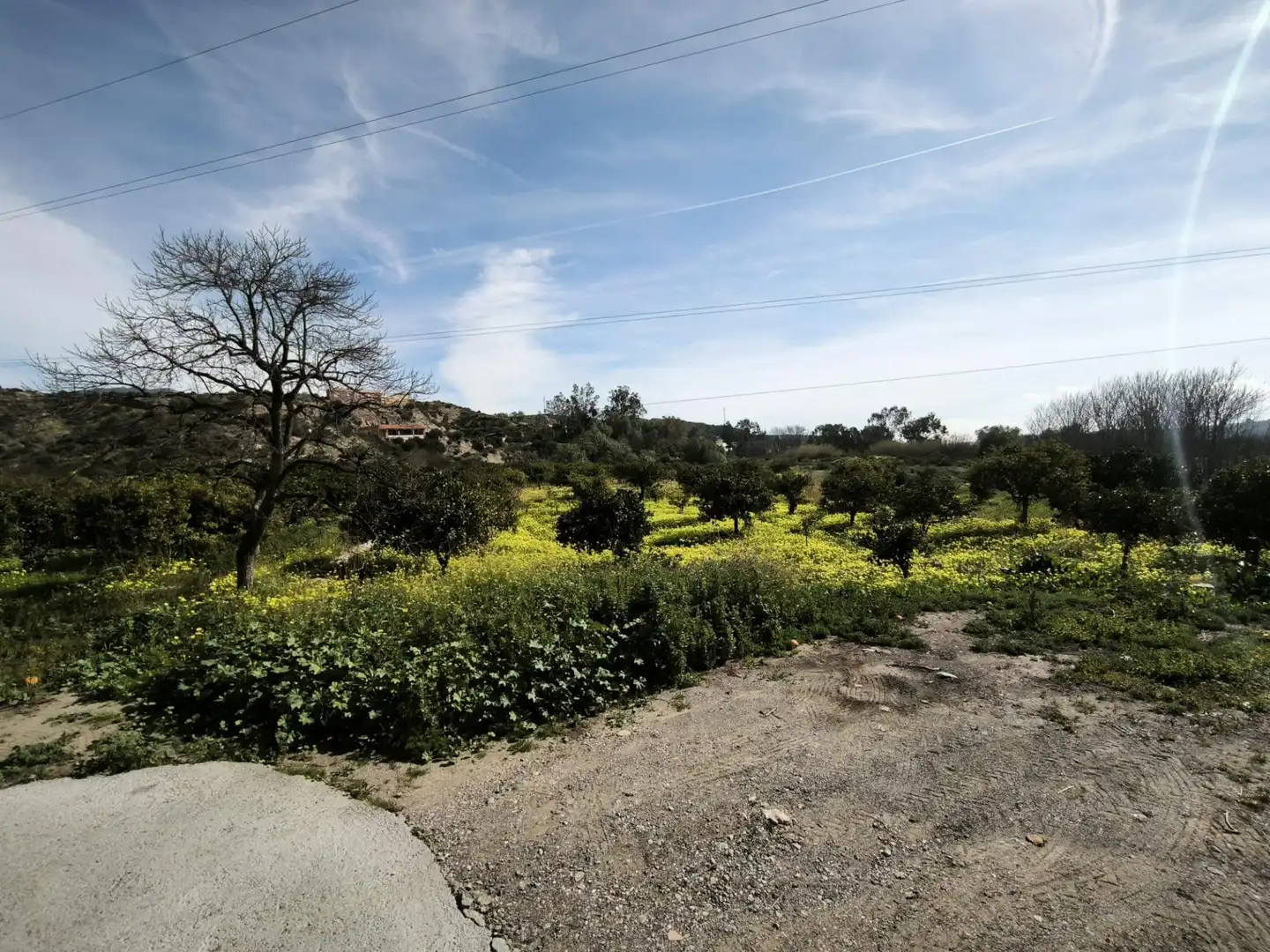 Lands and plots for sale in Gádor, imagen 18