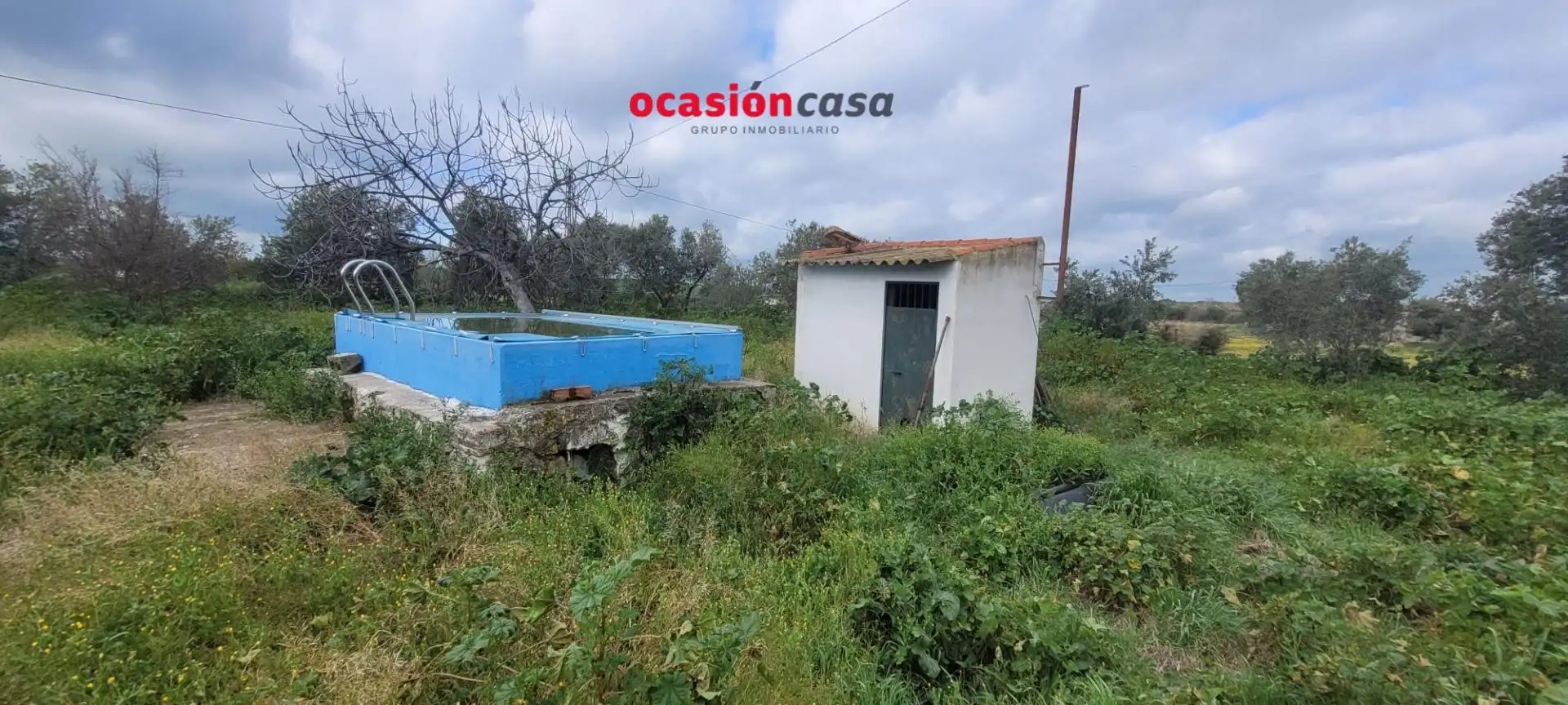 Houses for sale in El Viso