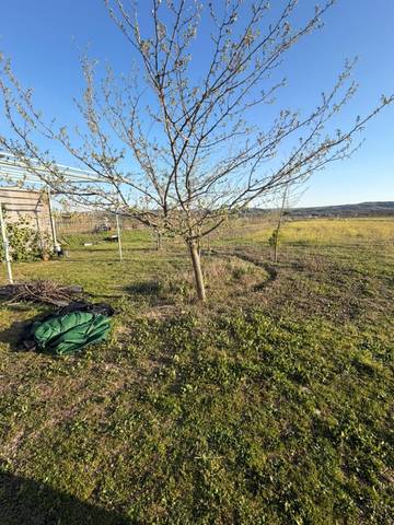 Terreno en Venta en La Montaña - El Cortijo