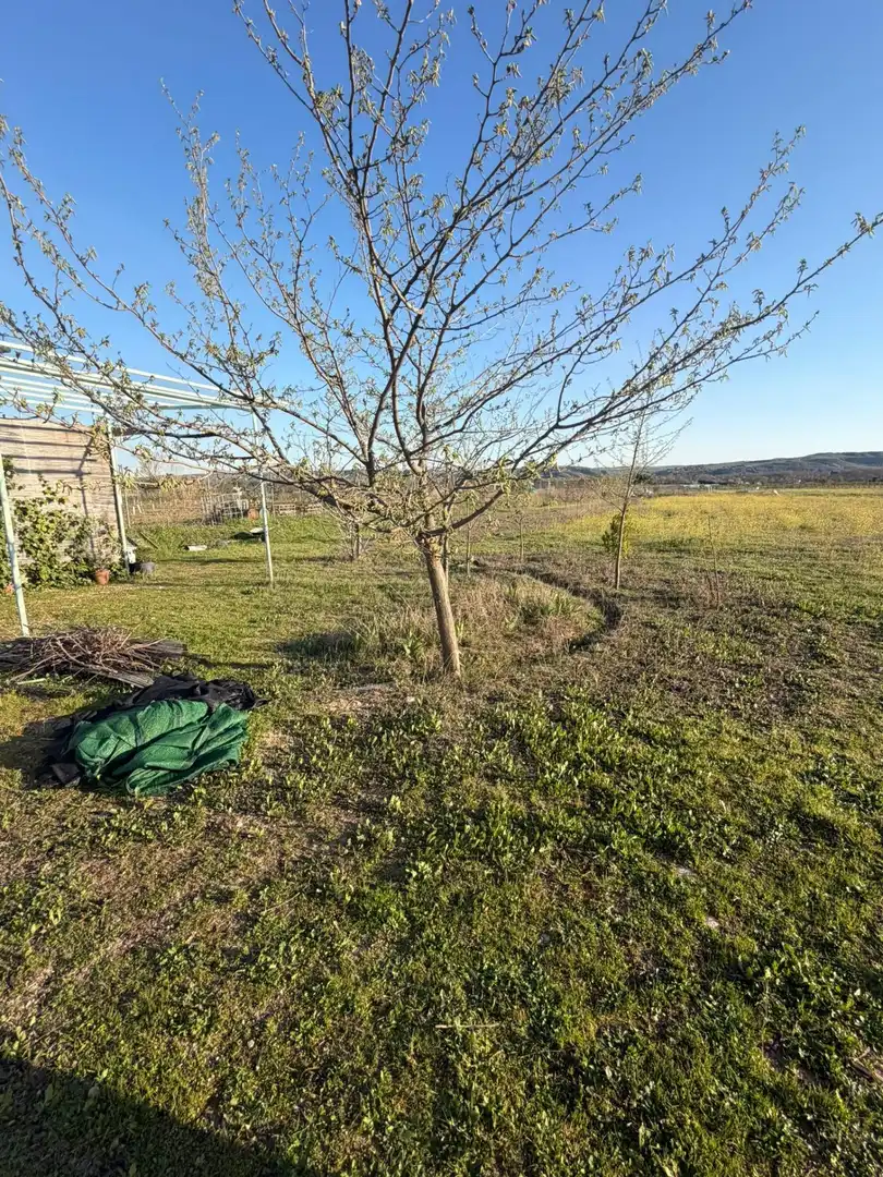 Land for sale in Aranjuez