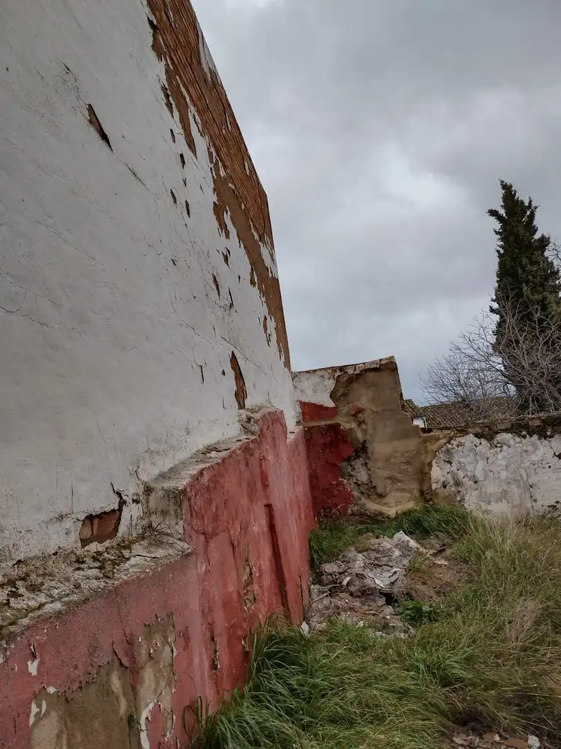 Vista exterior de Casa o xalet en venda en Ronda amb Jardí privat