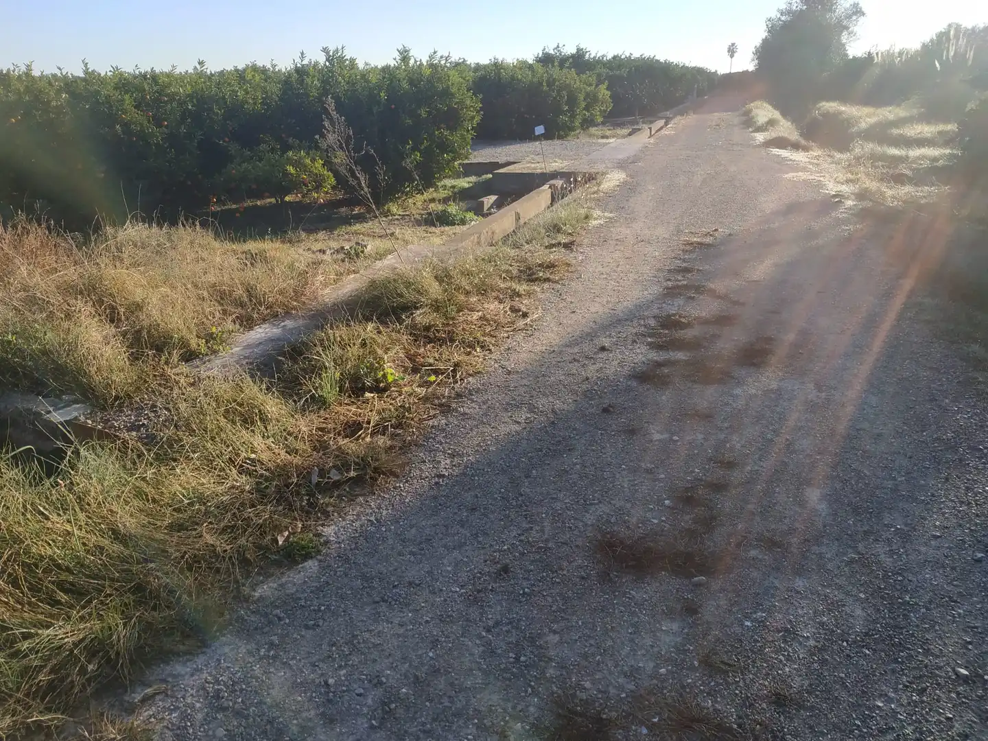 Land for sale in Polígono Número 18, 4, Albalat de la Ribera