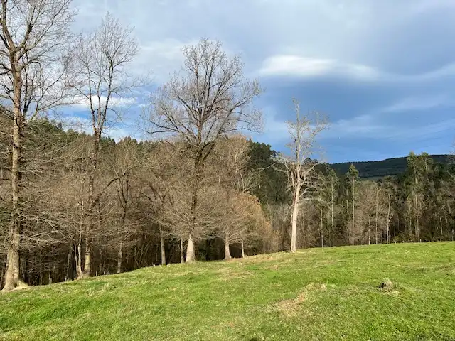 Land for sale in Lezama