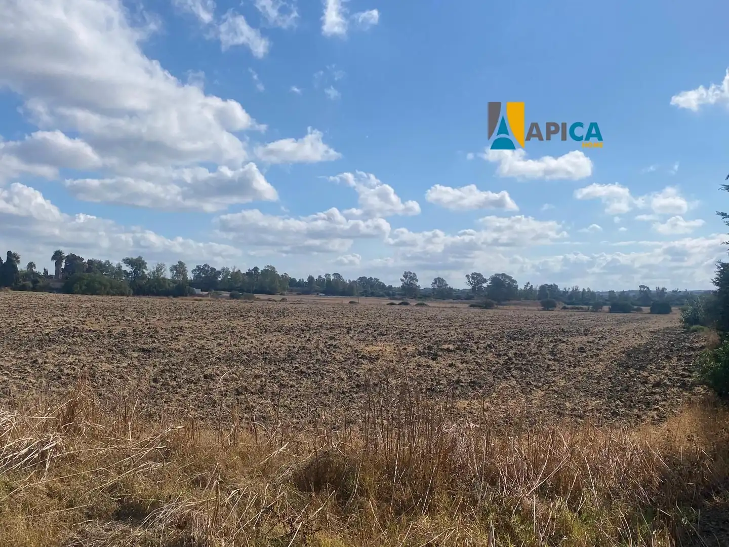 Rustikales Grundstück zum Verkauf in Las Lagunas - Campano, imagen 10