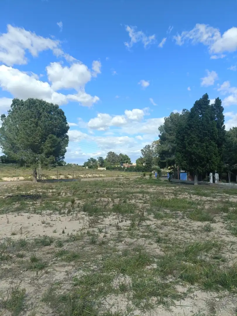 Terreno en venta en Molina de Segura